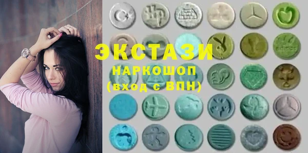 дживик Инта