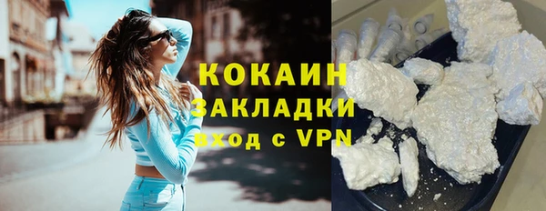 mdpv Инсар