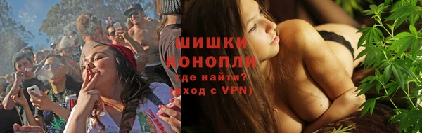 дживик Инта
