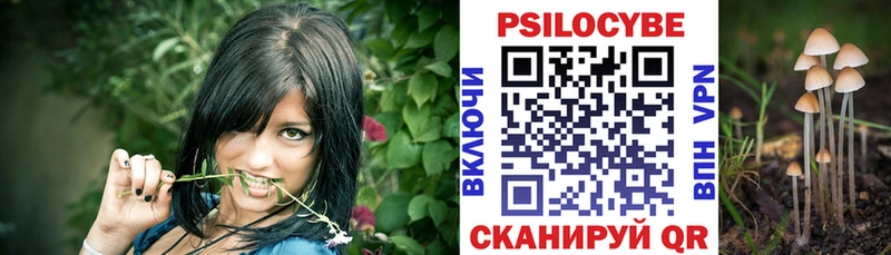 Псилоцибиновые грибы Psilocybe  OMG   Ирбит 