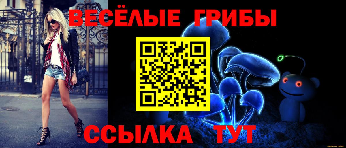 Ирбит  Галлюциногенные грибы GOLDEN TEACHER  Вход с VPN 